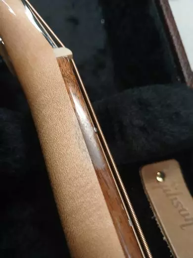 Gibson - AC415WANNH 2